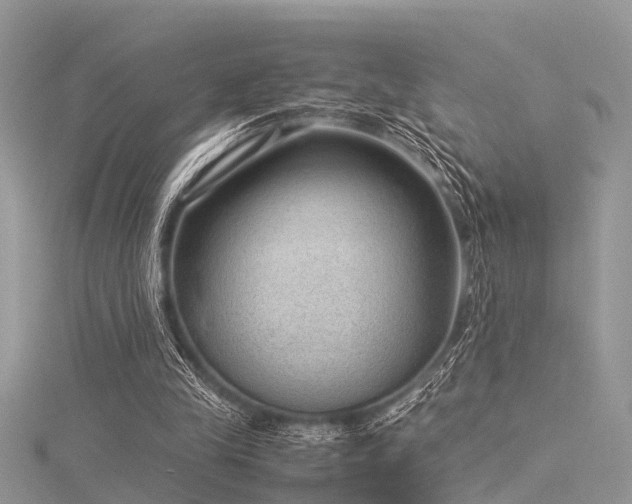 X0000116060245200911201502