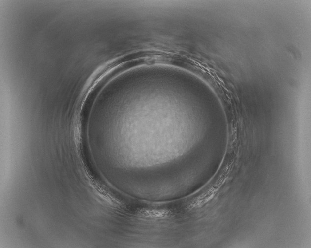 X0000116060247200911201502
