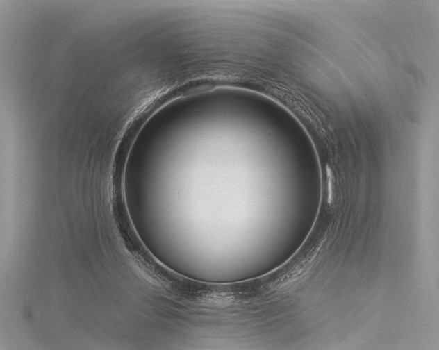 X0000116060252200911201502