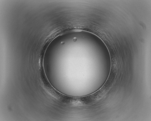 X0000116060262200911201502