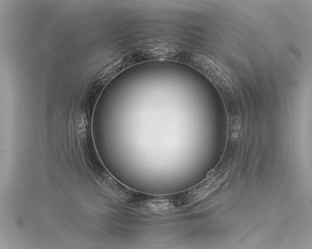 X0000116060279200911201502