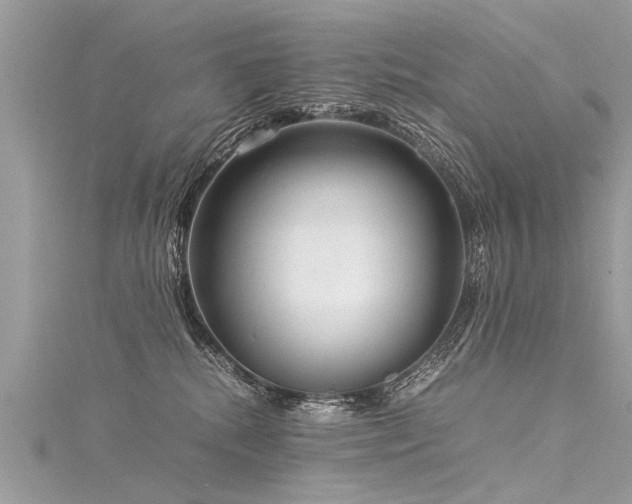 X0000116060280200911201502