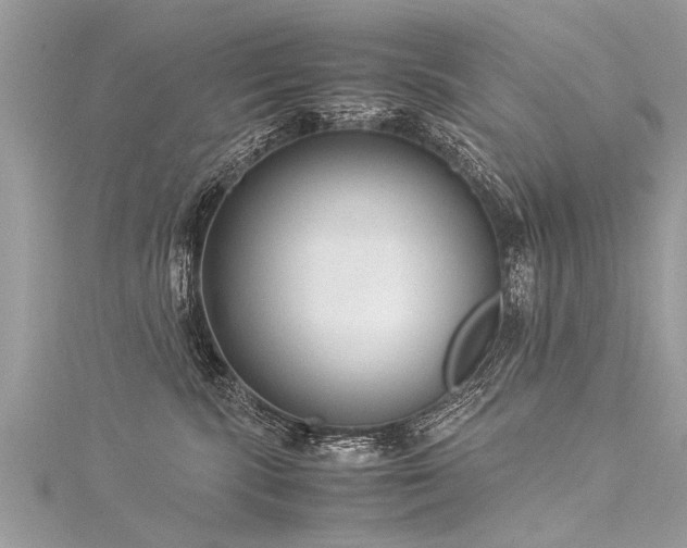 X0000116060283200911201502