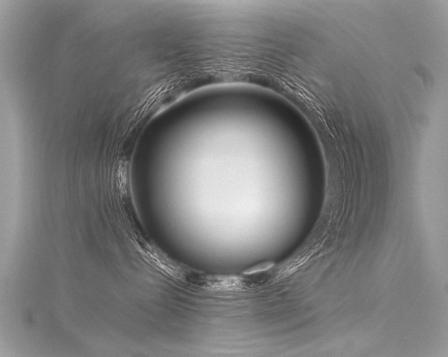 X0000116060288200911201502