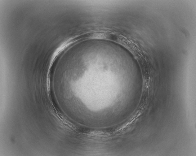 X0000116060294200911201501