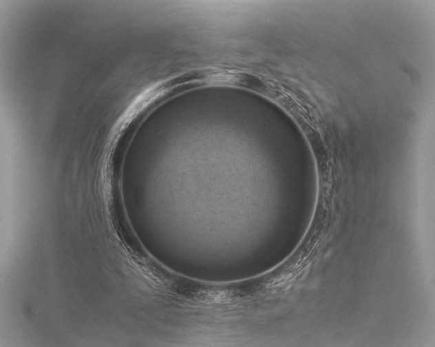 X0000116060295200911201501