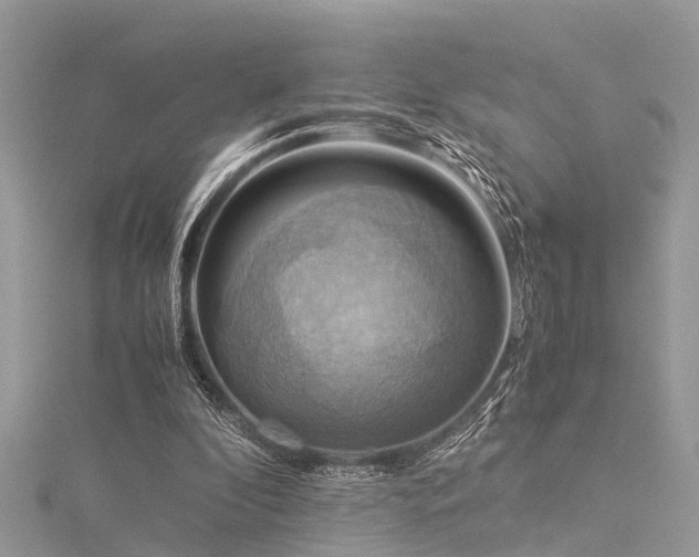 X0000116060296200911201501