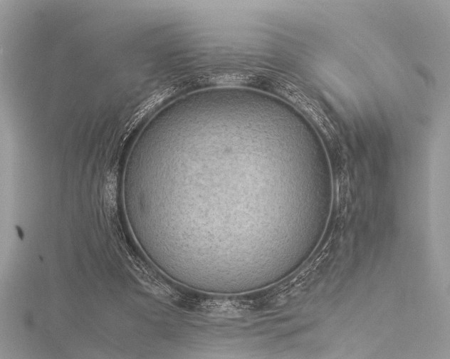 X0000116060297200911201501