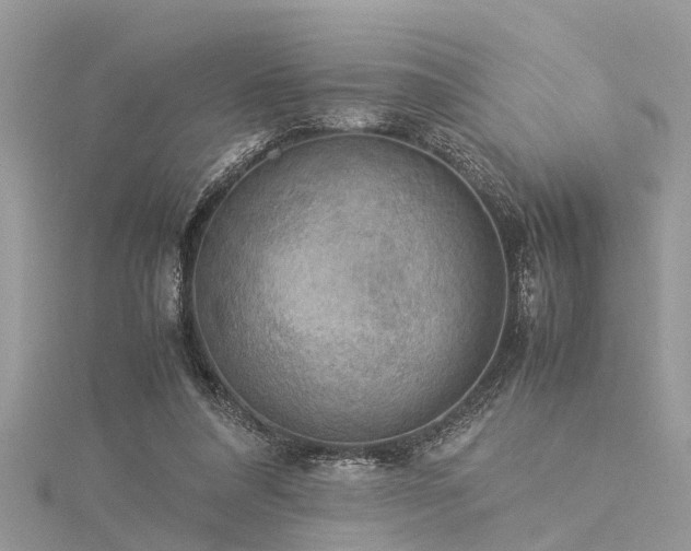 X0000116060304200911201501