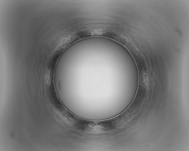 X0000116060311200911201501