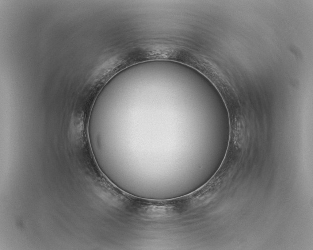 X0000116060314200911201501