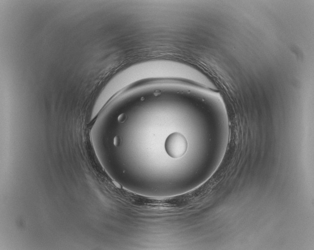 X0000116060316200911201501