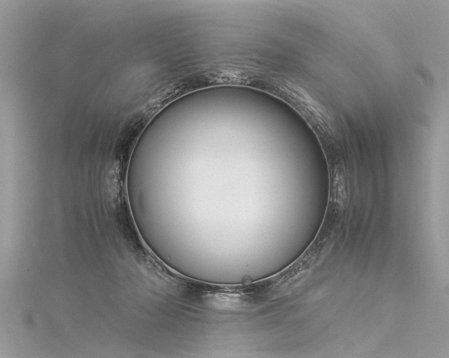 X0000116060318200911201501