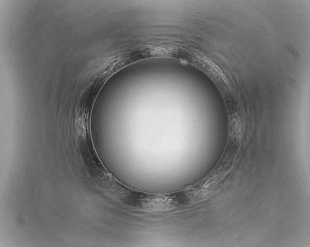 X0000116060329200911201501