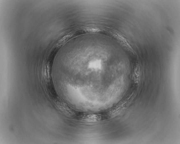 X0000116060330200911201501