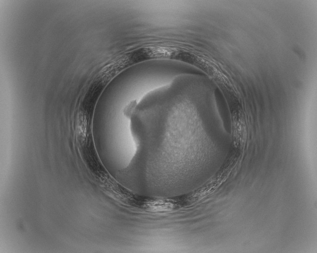 X0000116060331200911201501