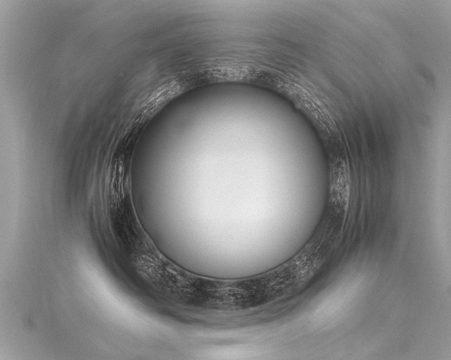 X0000116060334200911201501