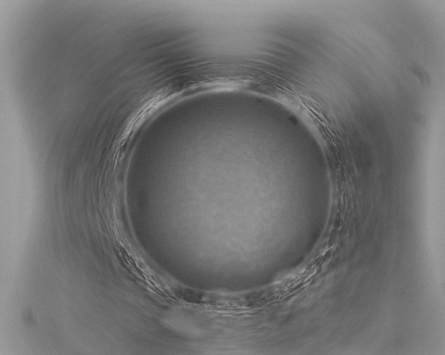 X0000116060337200911201500