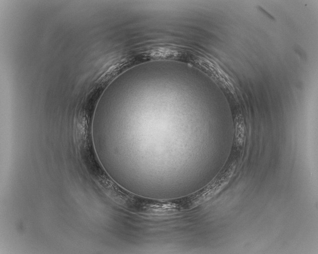 X0000116060375200911201501