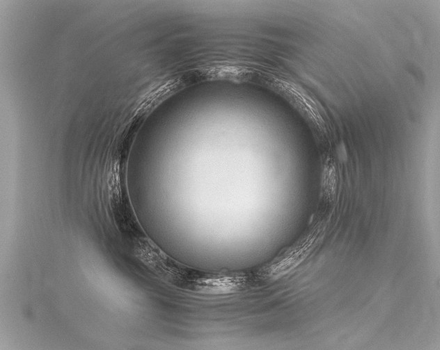 X0000116060381200911201501