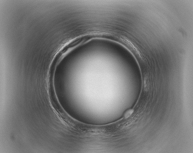X0000116060436200911201459