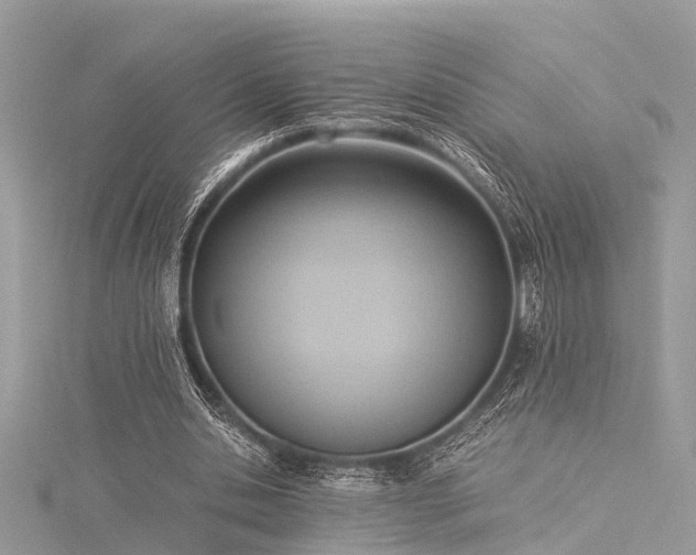 X0000116060438200911201459