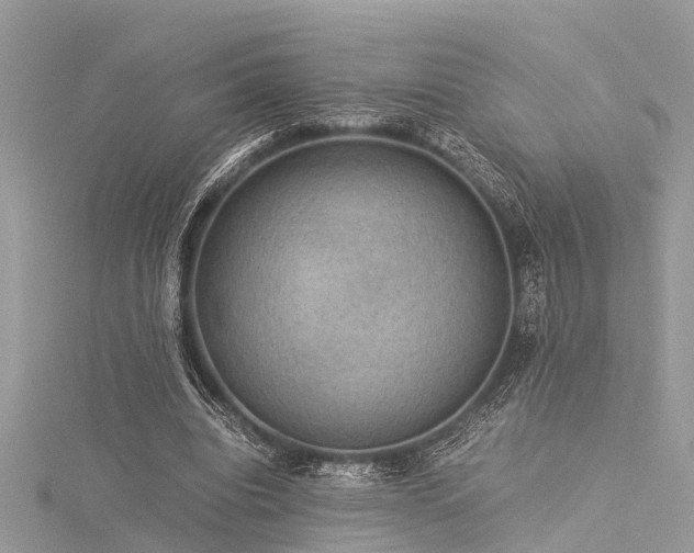 X0000116060440200911201459