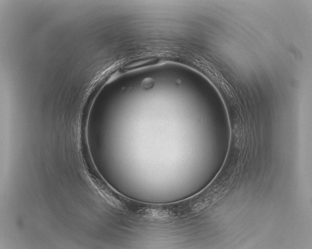 X0000116060442200911201459
