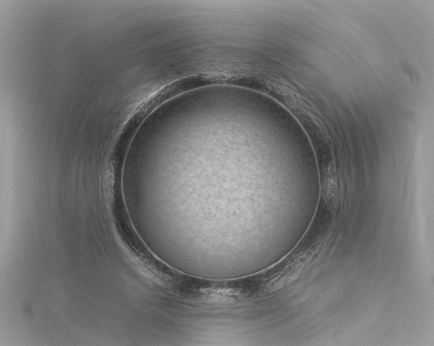 X0000116060448200911201459