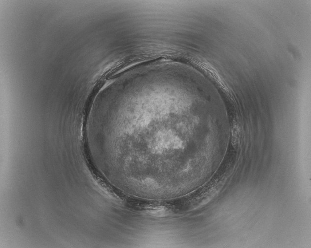 X0000116060454200911201459