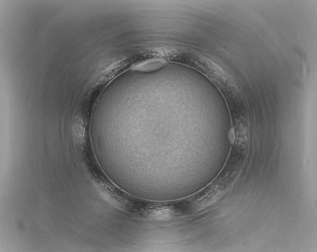 X0000116060456200911201459