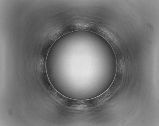 X0000116060463200911201459