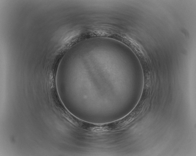 X0000116060465200911201459