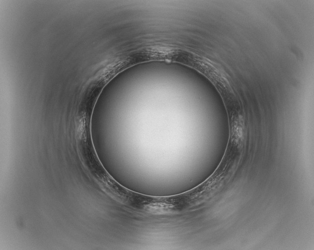 X0000116060468200911201459