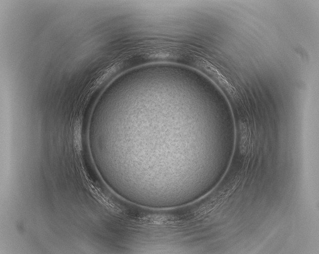 X0000116060482200911201459