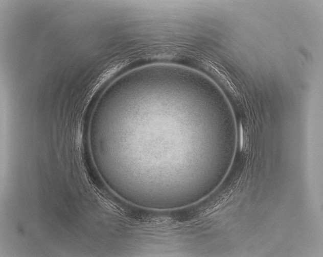 X0000116060483200911201459