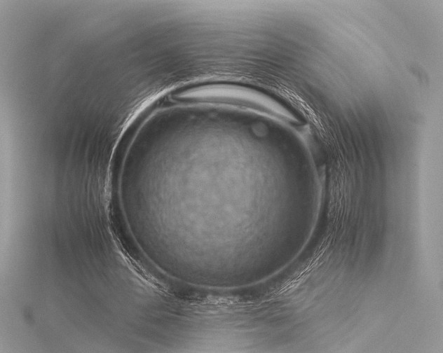X0000116060484200911201459