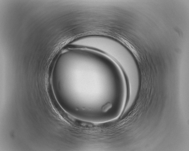 X0000116060485200911201459