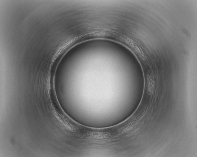 X0000116060486200911201459