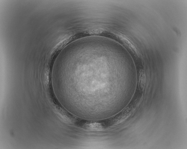 X0000116060501200911201459