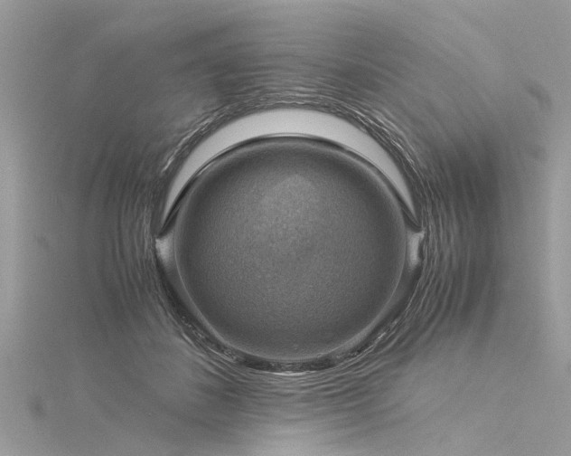 X0000116060508200911201459