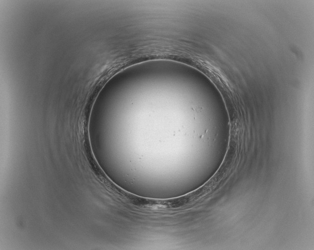 X0000116060509200911201459