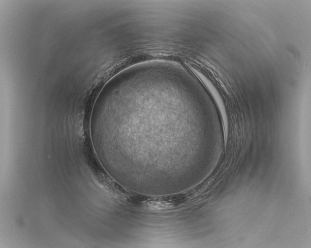 X0000116060512200911201459