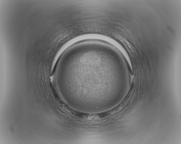 X0000116060517200911201459