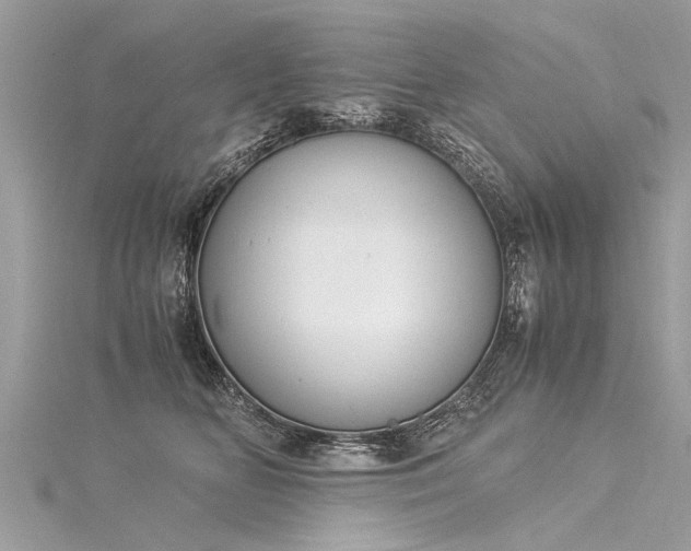 X0000116060518200911201459