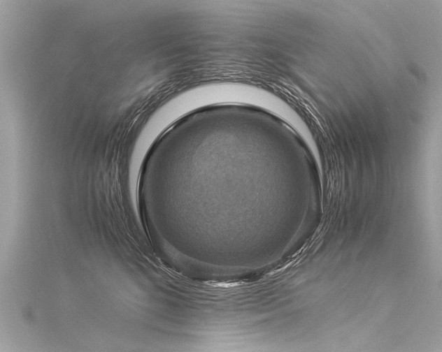 X0000116060520200911201458