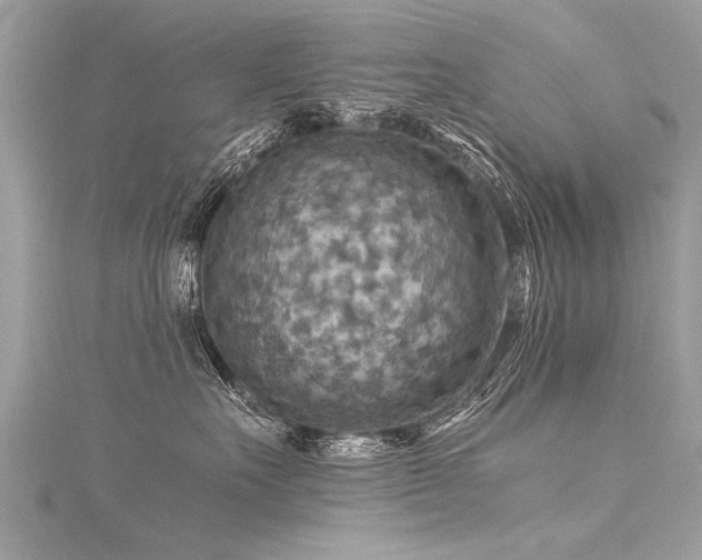 X0000116060527200911201458