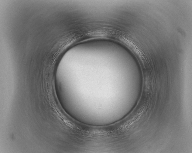 X0000116060529200911201458