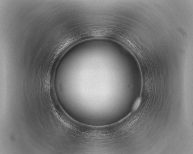 X0000116060530200911201458