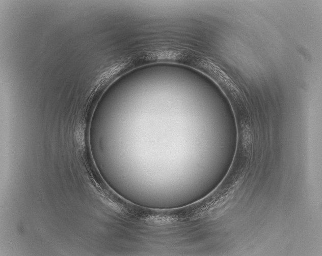 X0000116060537200911201458